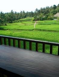 Adult Vacations in Luxury Bali Villas